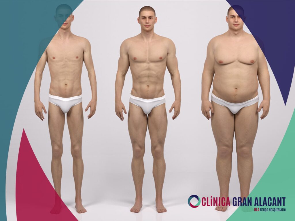 Men body types - Clinica Gran Alacant